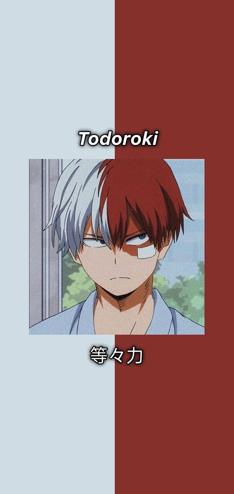 Todoroki, My Hero Academia, half red and half white hair, HD Phone Wallpaper