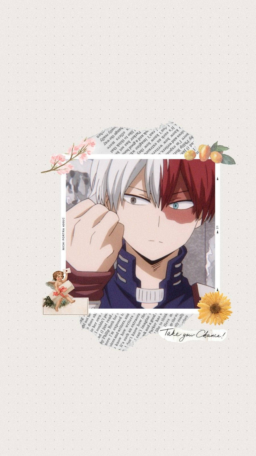 My Hero Academia, Todoroki, red and white hair, HD Phone Wallpaper