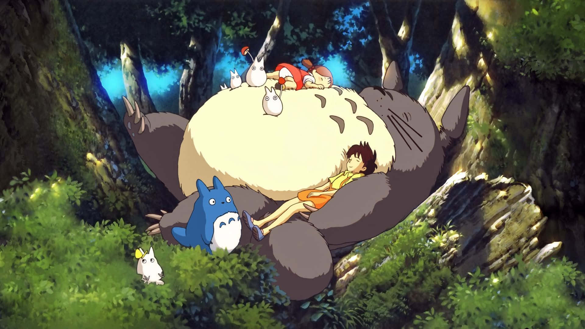 My Neighbor Totoro, fluffy Totoro, lush forest, Full HD Desktop Wallpaper