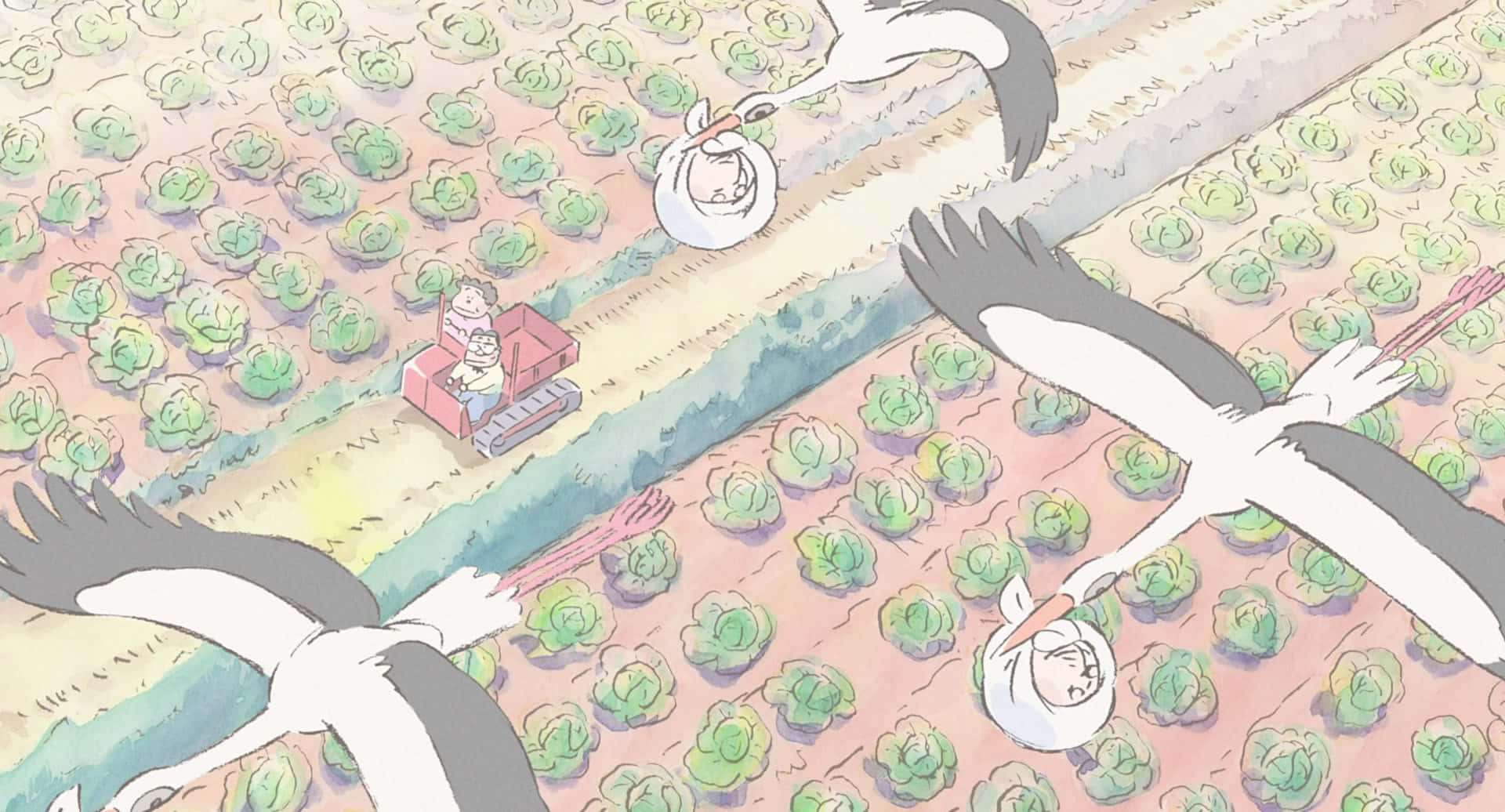 My Neighbors The Yamadas, cabbage field, storks, Full HD Desktop Wallpaper