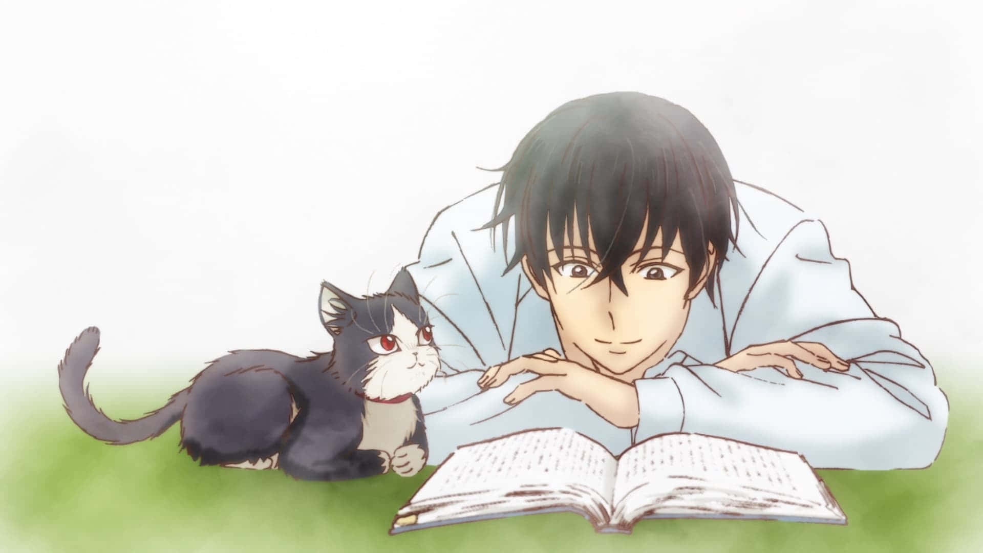boy, cat, light blue shirt, Full HD Desktop Wallpaper