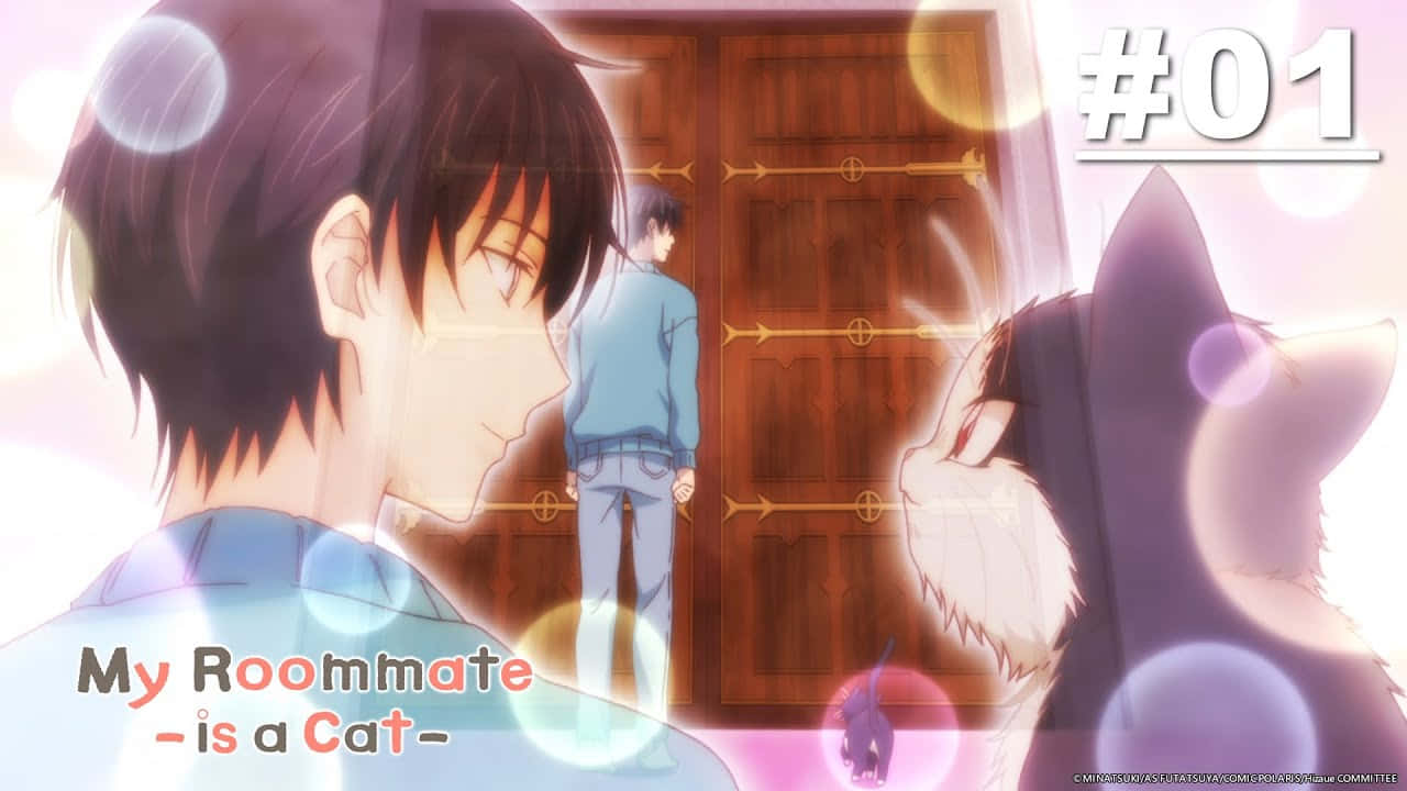 My Roommate is a Cat, boy, cat, HD Desktop Wallpaper