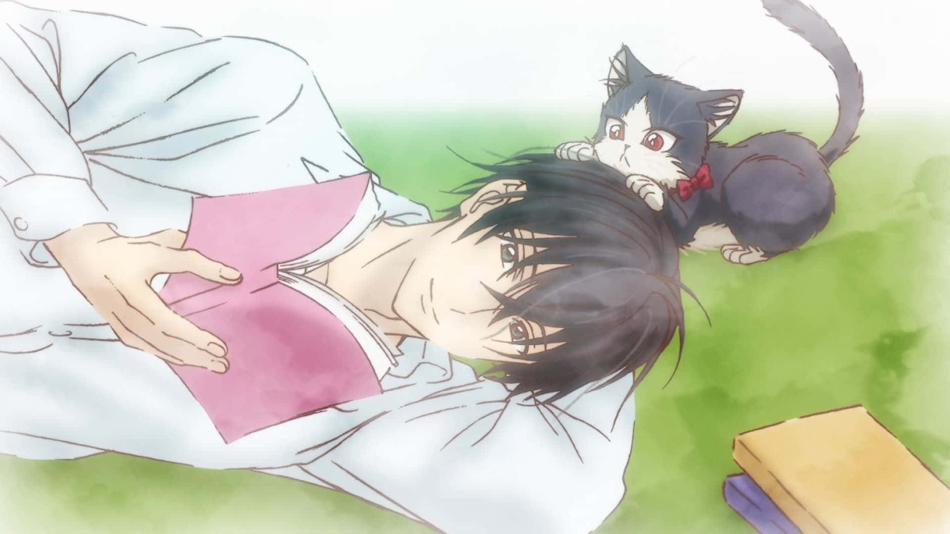 young man, black cat, red eyes, Full HD Desktop Wallpaper