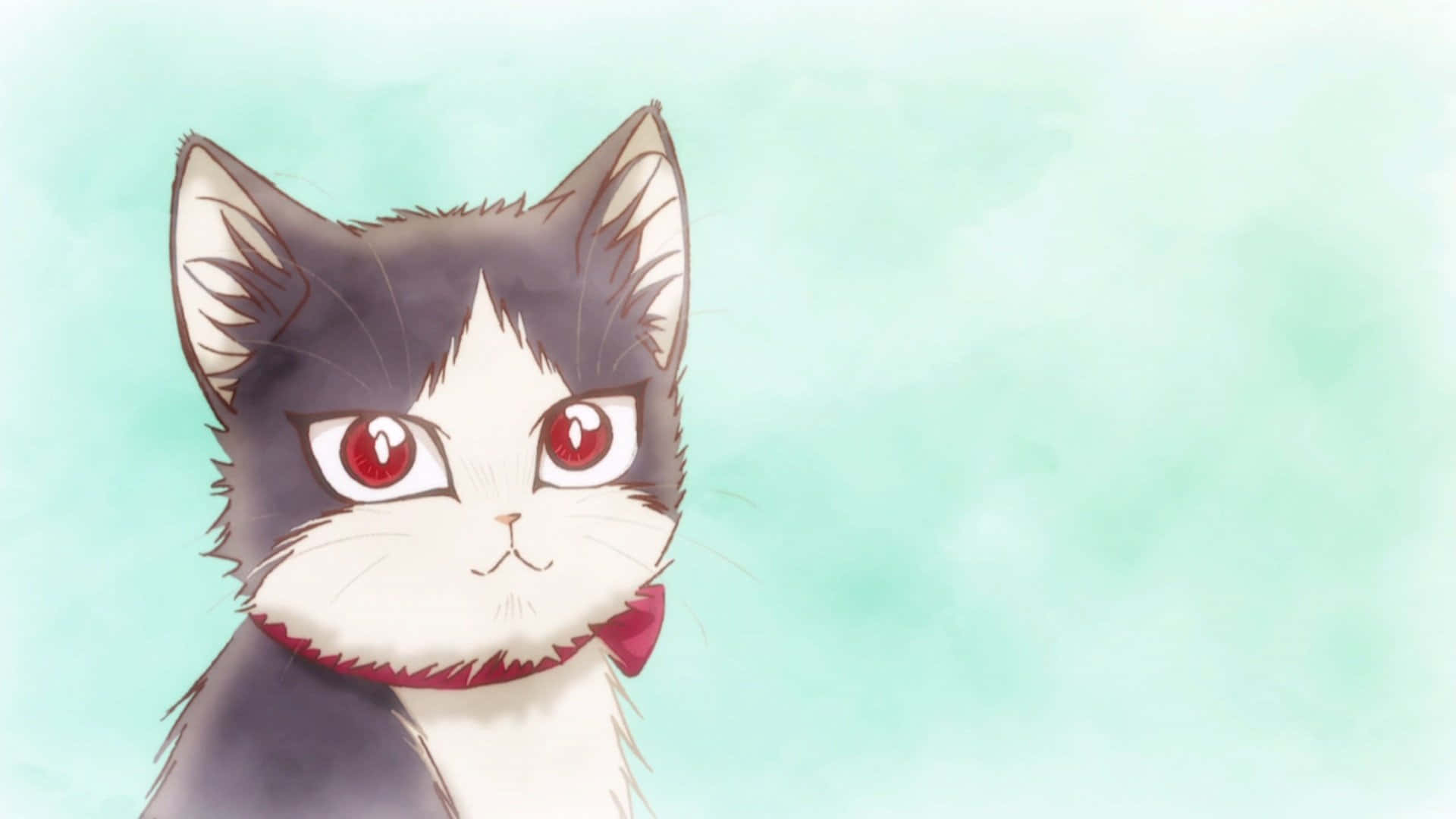 black and white anime cat, striking red eyes, red bowtie, Full HD Desktop Wallpaper