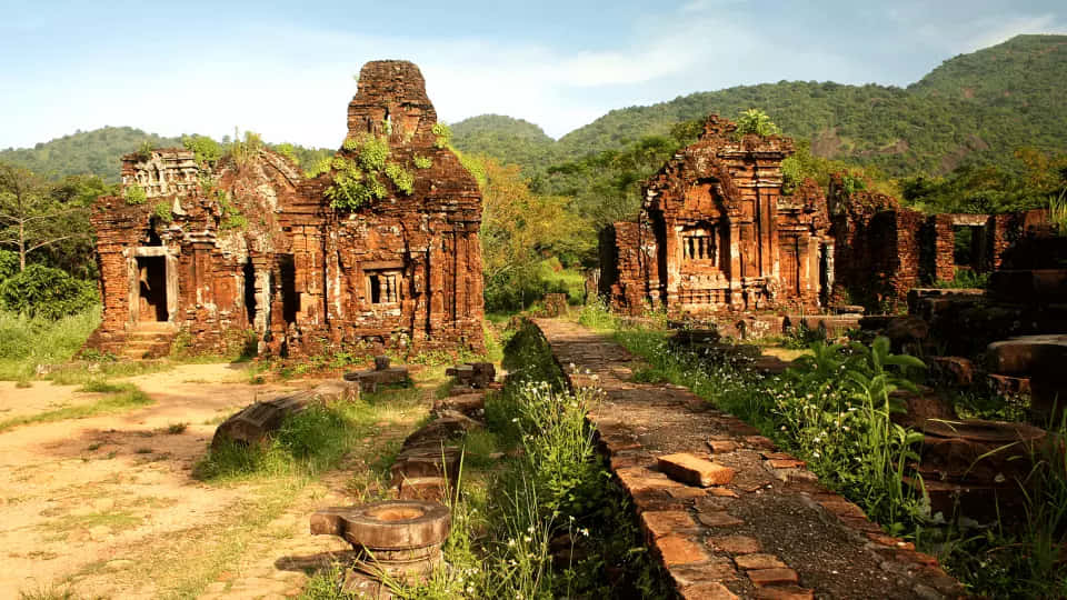 My Son Sanctuary, red brick temple ruins, greenery, SD Desktop Wallpaper