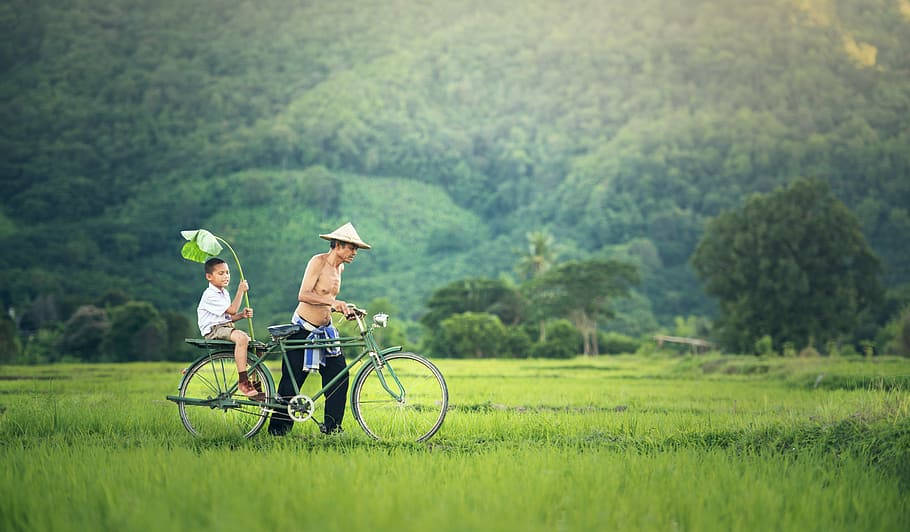 father and son, conical hat, bicycle, SD Desktop Wallpaper