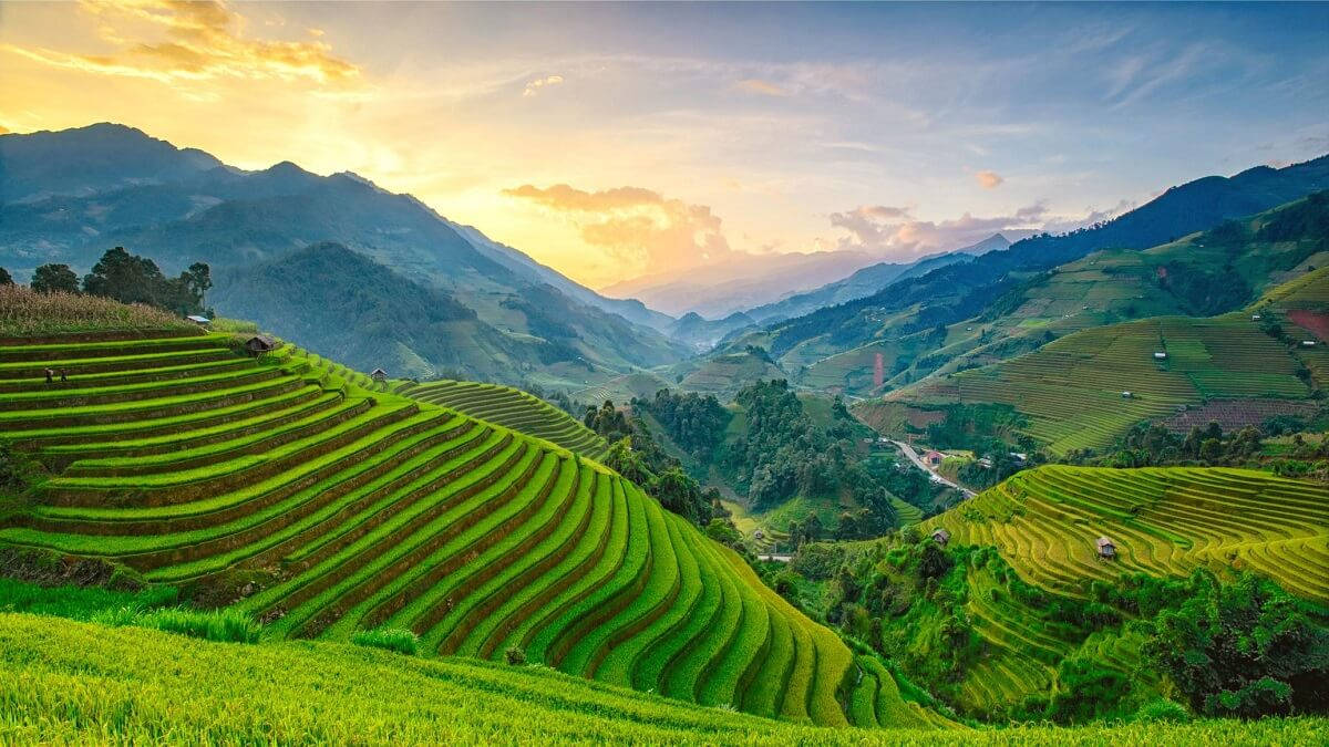 Rice Field, Myanmar, Sunset, SD Desktop Wallpaper