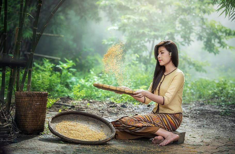 Myanmar, girl, rice sorting, SD Desktop Wallpaper