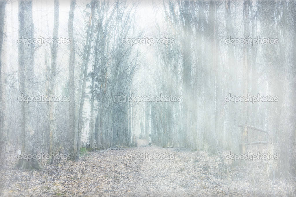 Mystical Forest, mist, forest path, SD Desktop Wallpaper