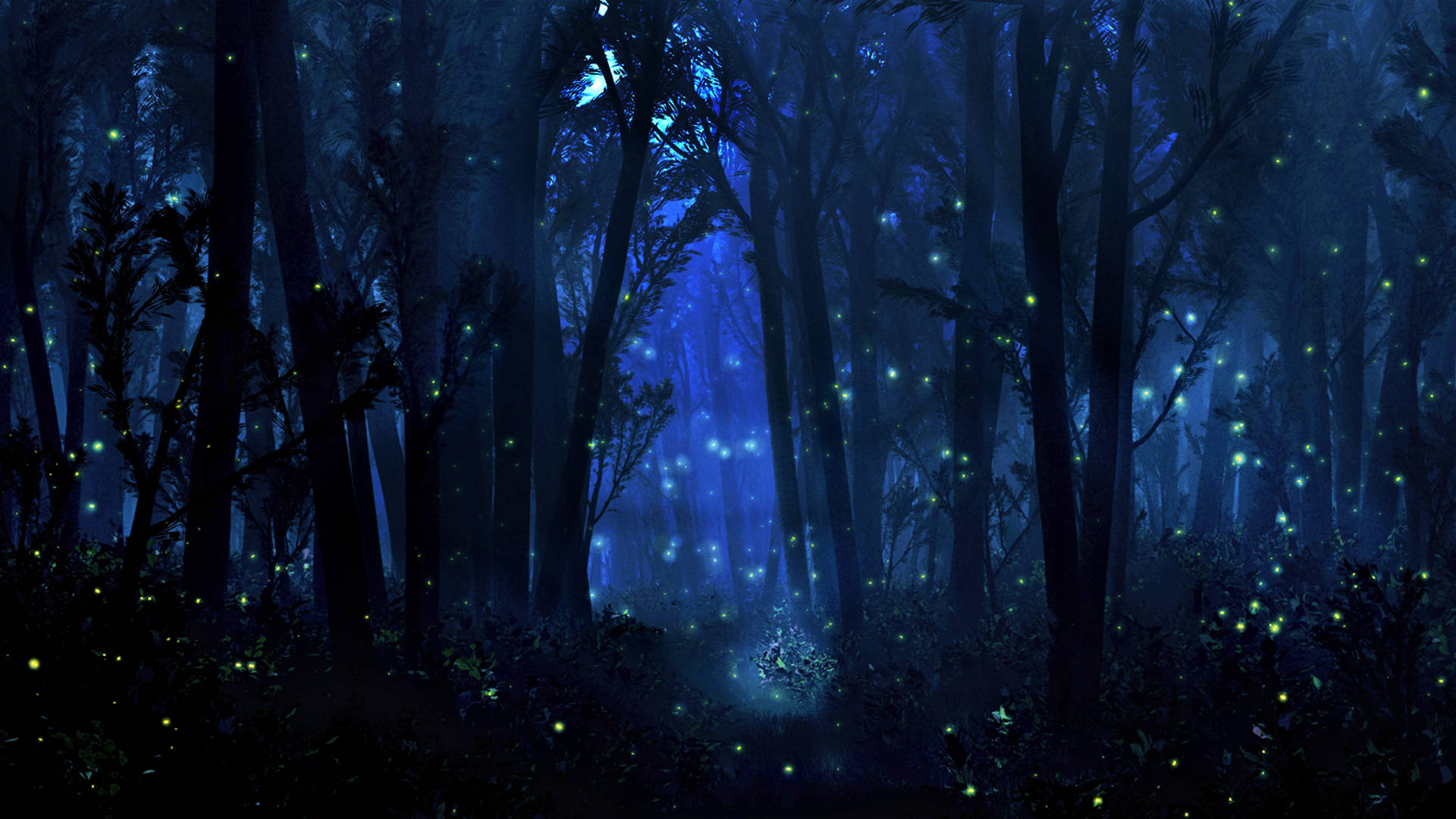 Mystical Forest, night, glowing fireflies, Full HD Desktop Wallpaper