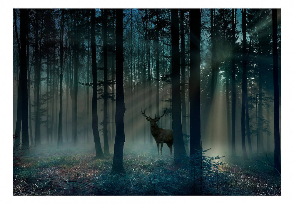 Mystical Forest, stag, misty forest, SD Desktop Wallpaper