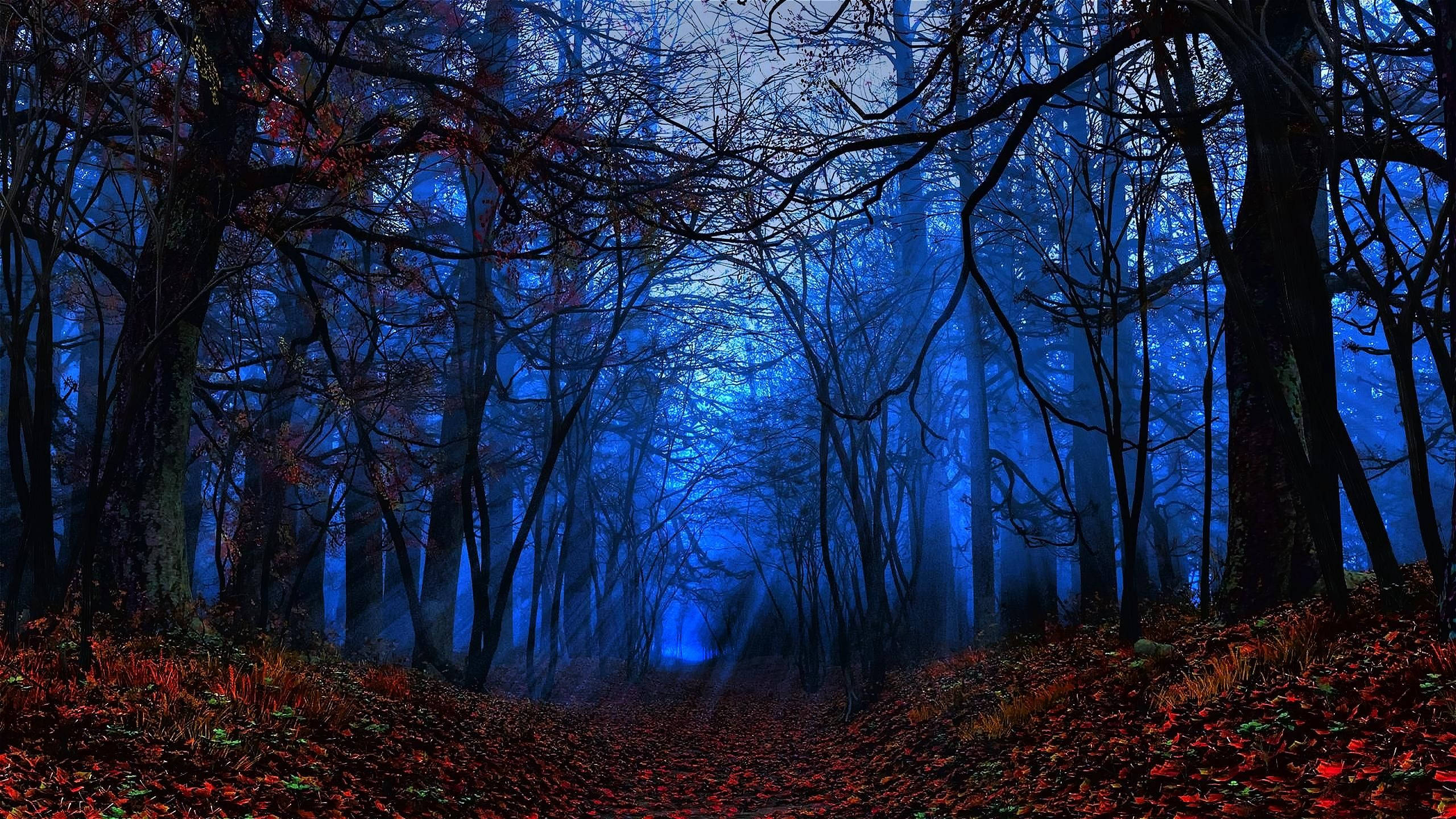 Mystical Forest, glowing blue mist, twilight sky, 2K Desktop Wallpaper