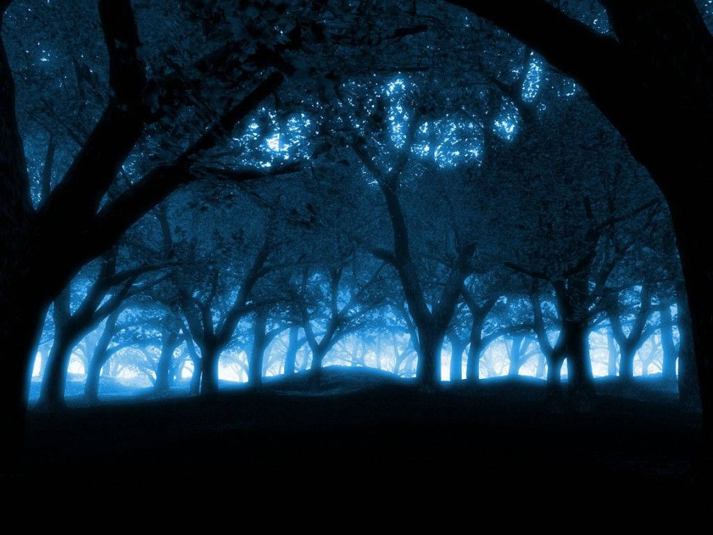 Mystical Forest, glowing blue lights, bare tree branches, SD Desktop Wallpaper