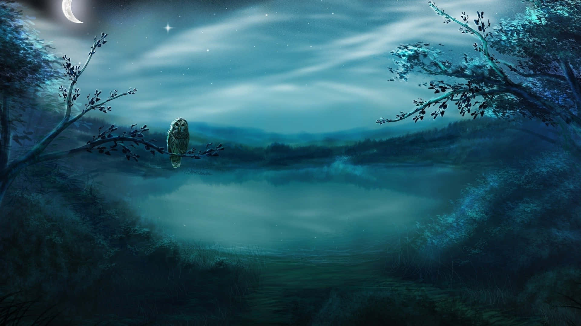 Mystical Forest, owl, branch, Full HD Desktop Wallpaper