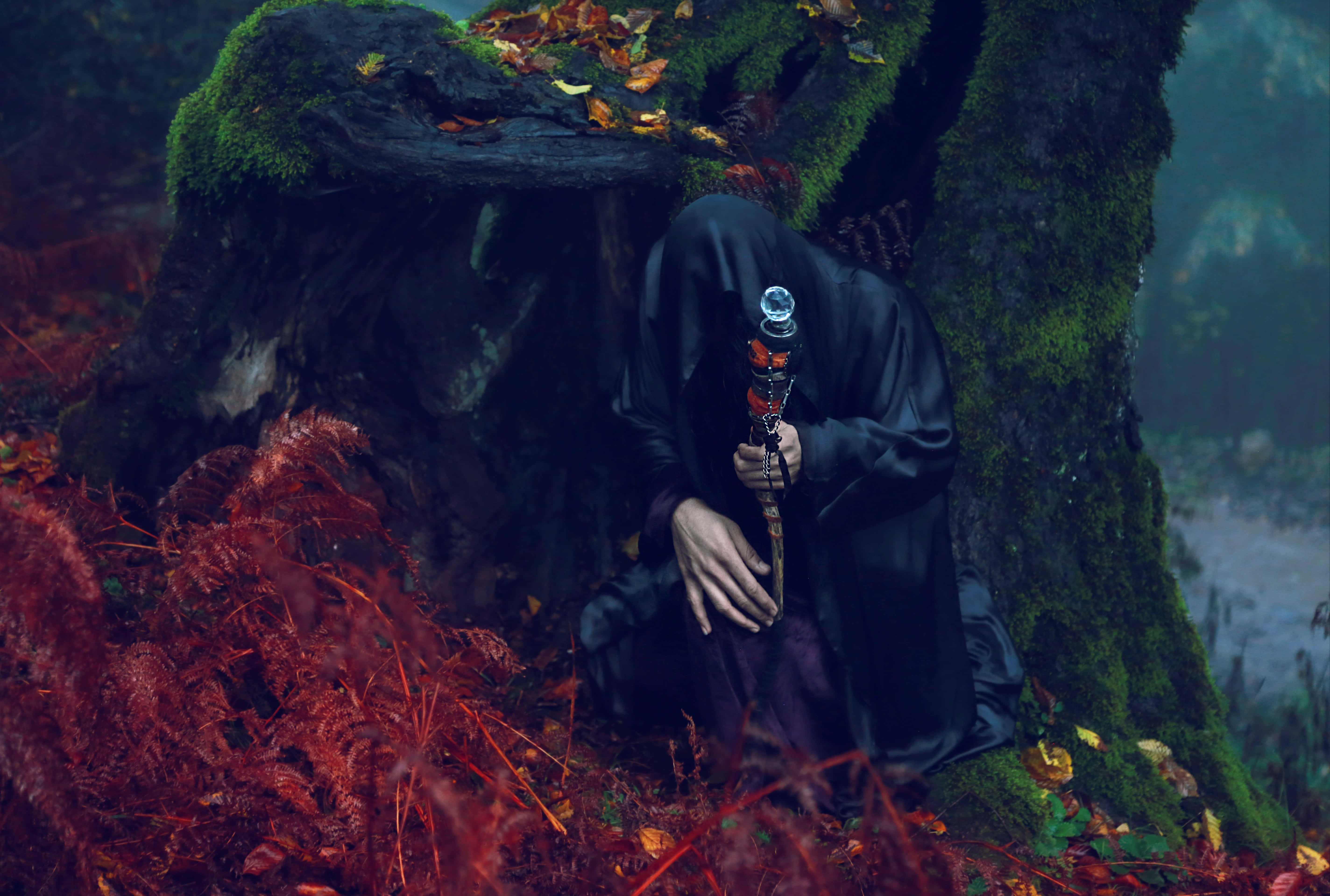 magical forest, hooded figure in black robes, mossy tree stump, 5K Desktop Wallpaper