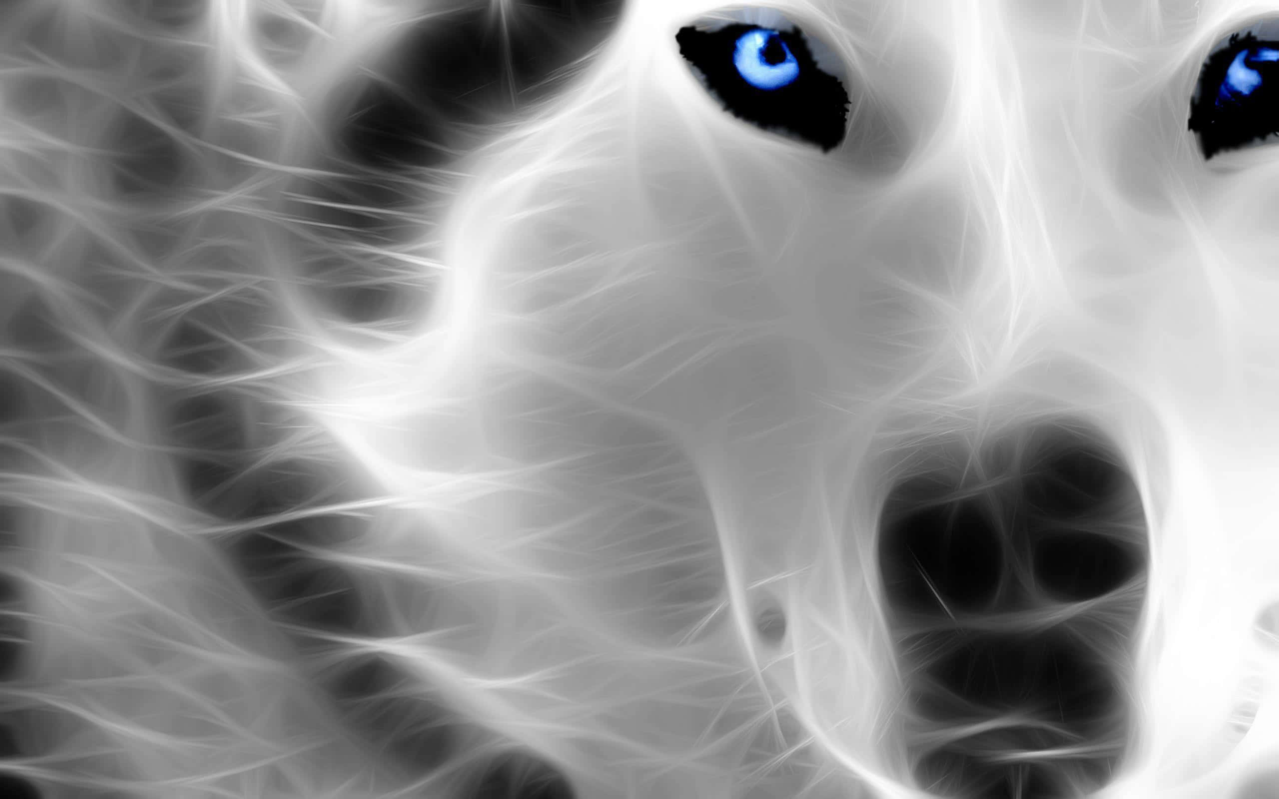 Mystical Wolf, ghostly white wolf, piercing blue eyes, 2K Desktop Wallpaper