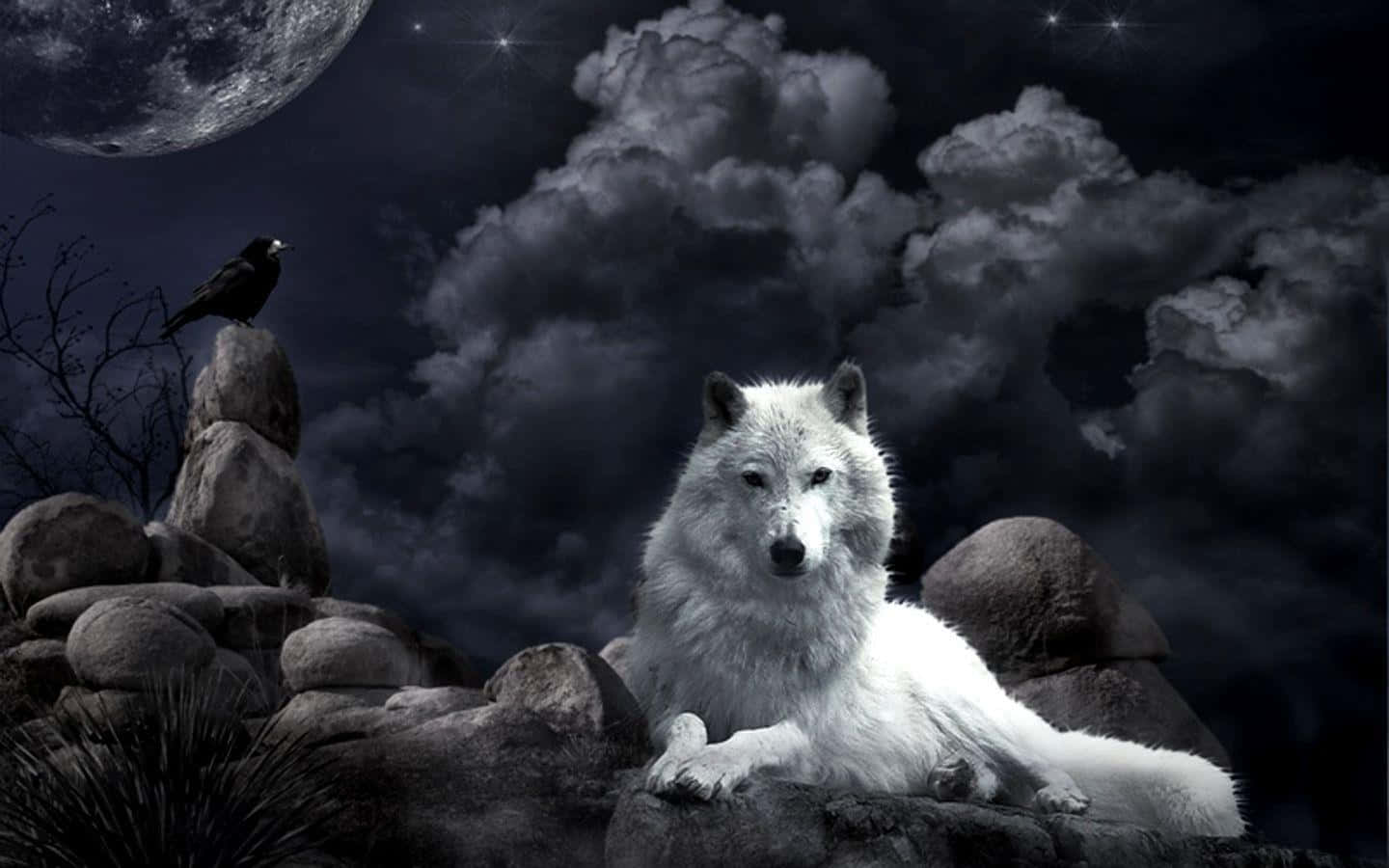 Mystical Wolf, white wolf, moonlit sky, HD Desktop Wallpaper