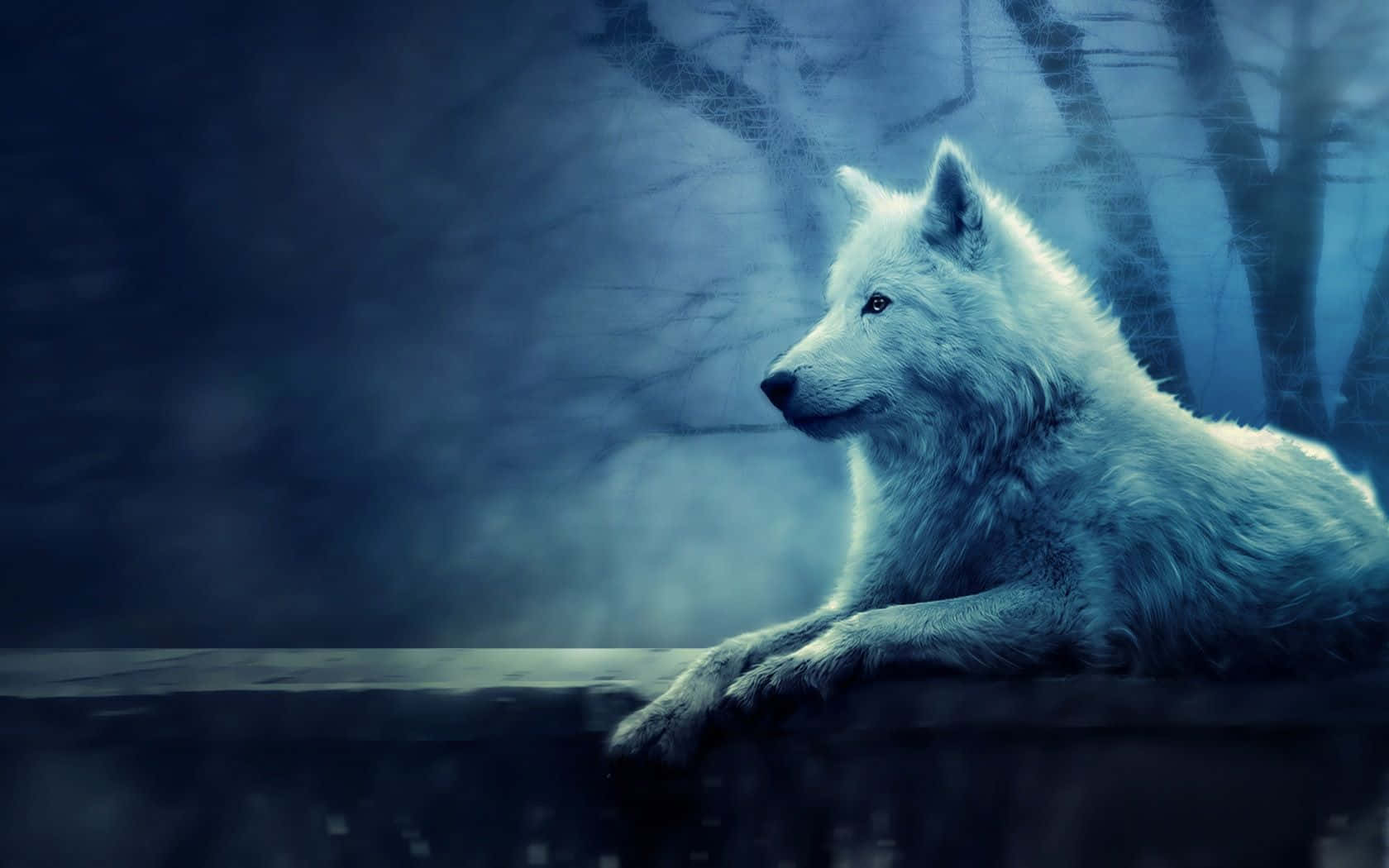 Mystical Wolf, white wolf, stone ledge, HD Desktop Wallpaper