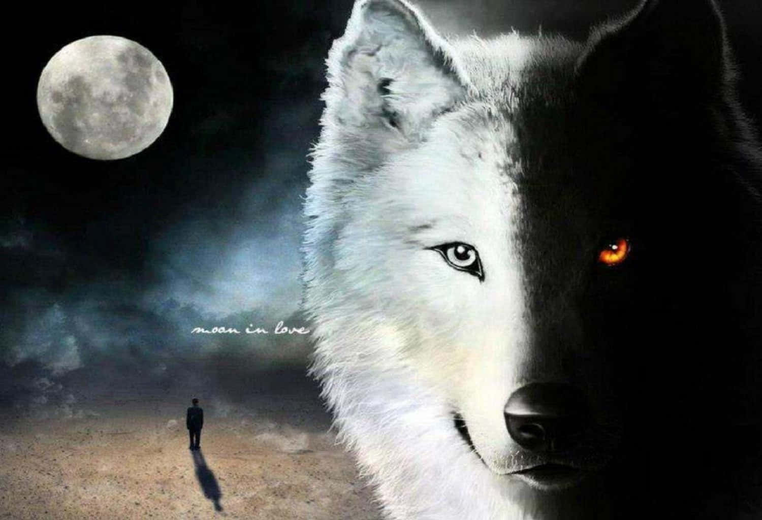 Mystical Wolf, full moon, massive wolf, HD Desktop Wallpaper