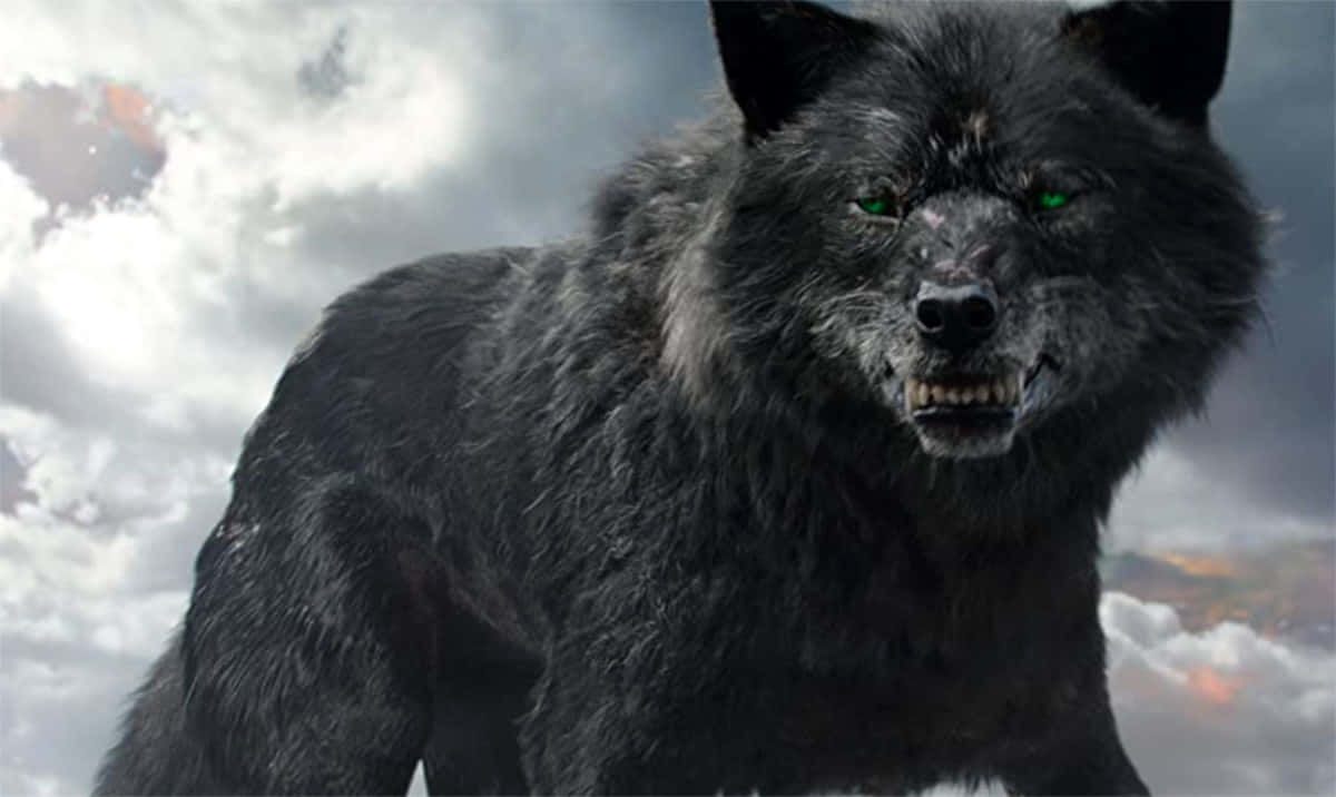 Mythical Wolf, black wolf, glowing green eyes, SD Desktop Wallpaper