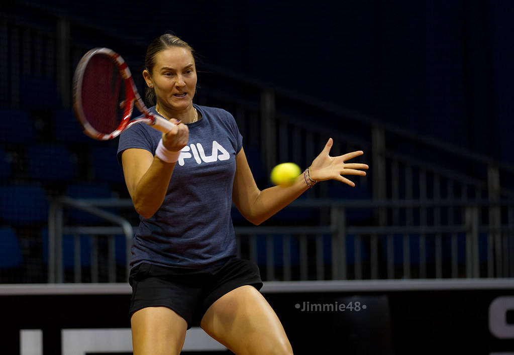 Nadia Petrova, forehand stroke, yellow ball, SD Desktop Wallpaper