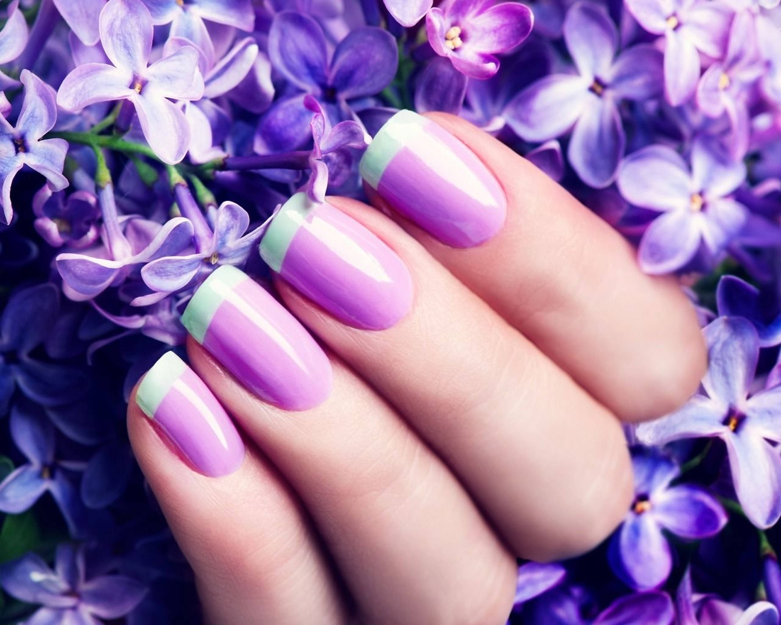 lavender flower, pastel purple, mint green, 2K Desktop Wallpaper