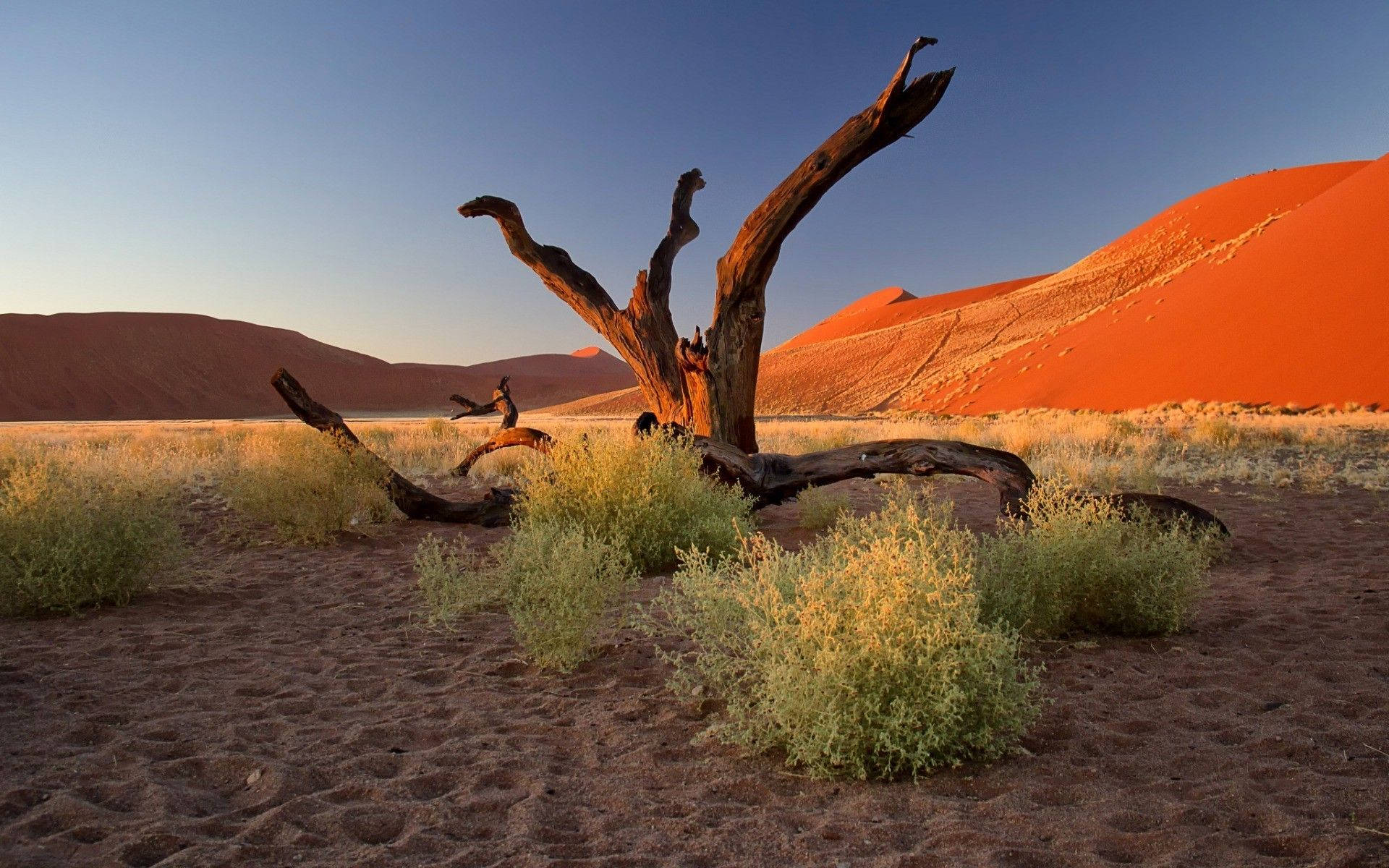 Namibia, orange sand dunes, sunset, Full HD Desktop Wallpaper