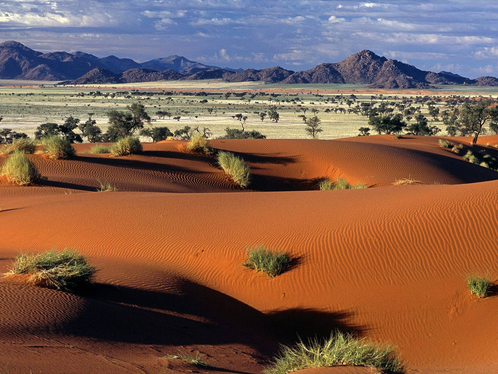 Namibia, orange sand dunes, green shrubs, HD Desktop Wallpaper