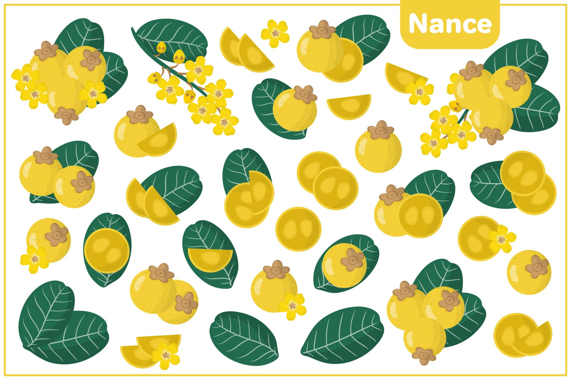 Nance, vibrant illustration, fruits, Full HD Desktop Wallpaper