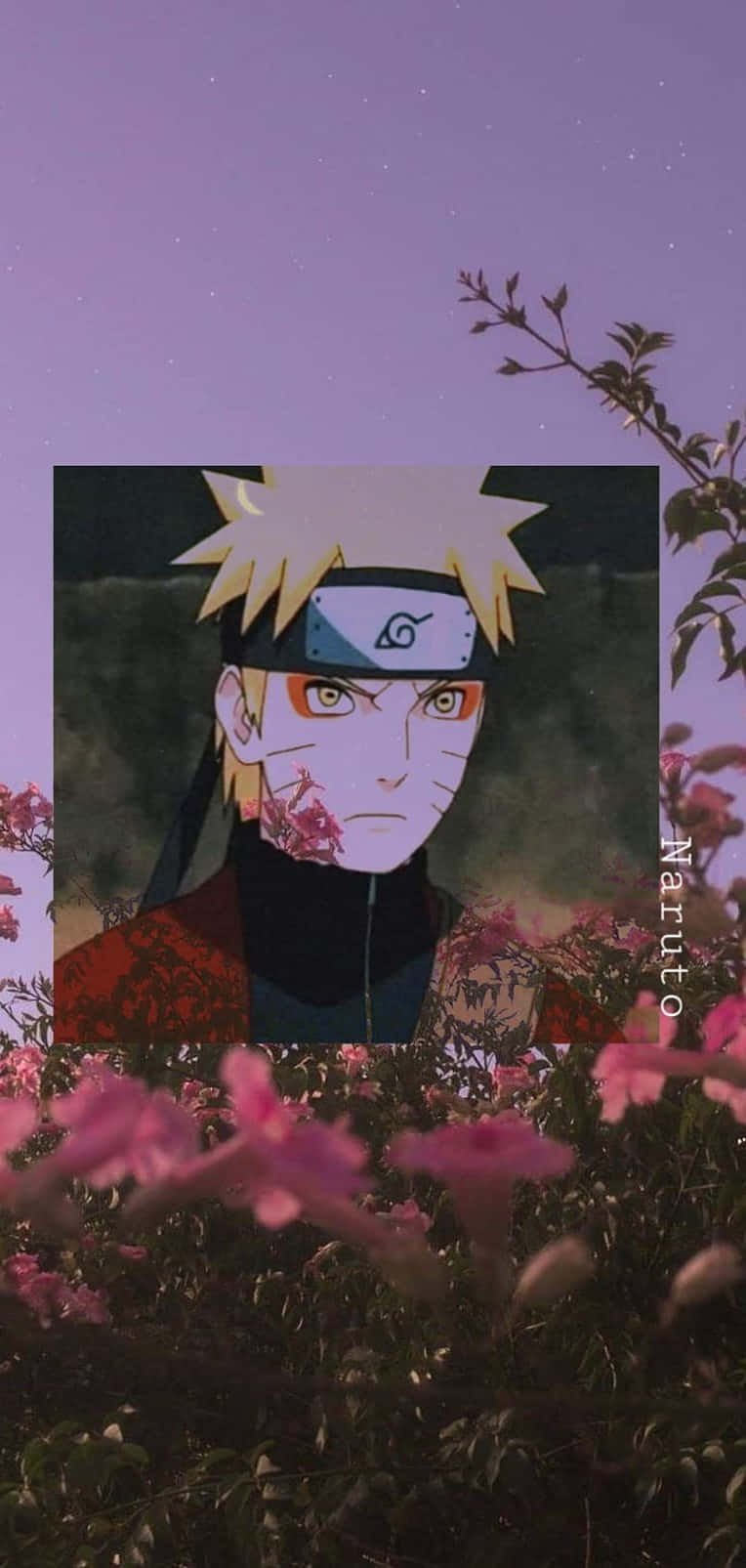 Naruto, pink flowers, starry purple sky, HD Phone Wallpaper