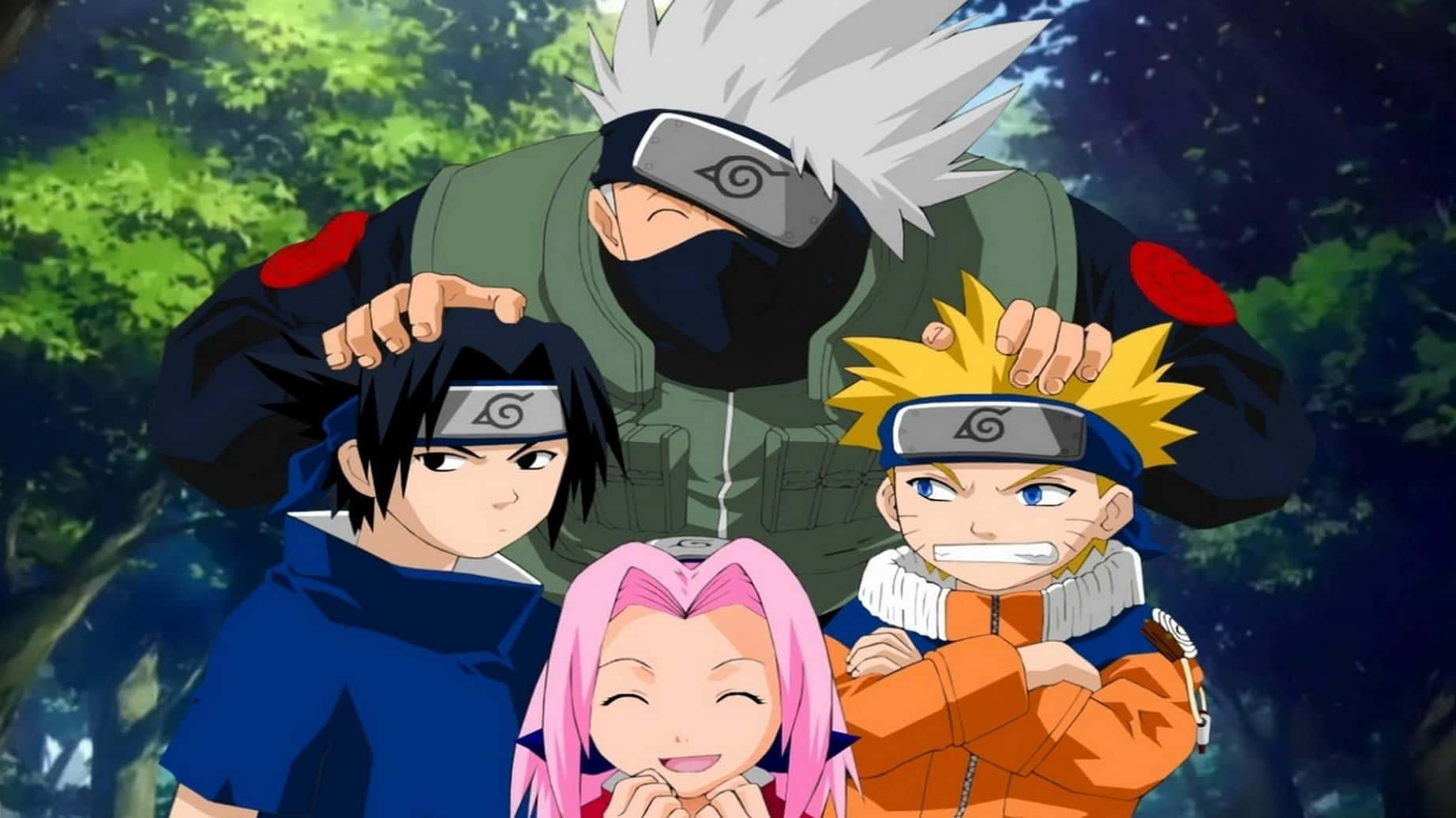 Naruto Group, anime characters, forest, HD Desktop Wallpaper