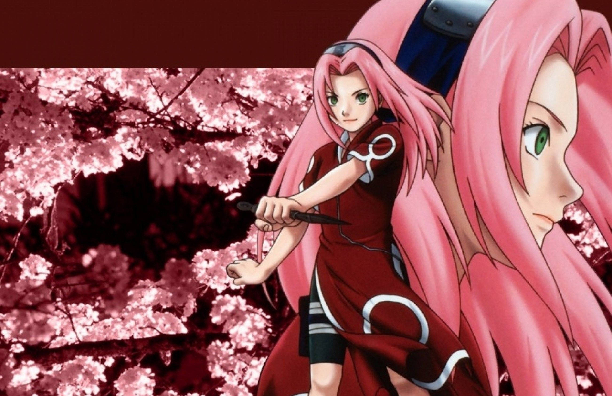 Naruto, Sakura, pink hair, 2K Desktop Wallpaper