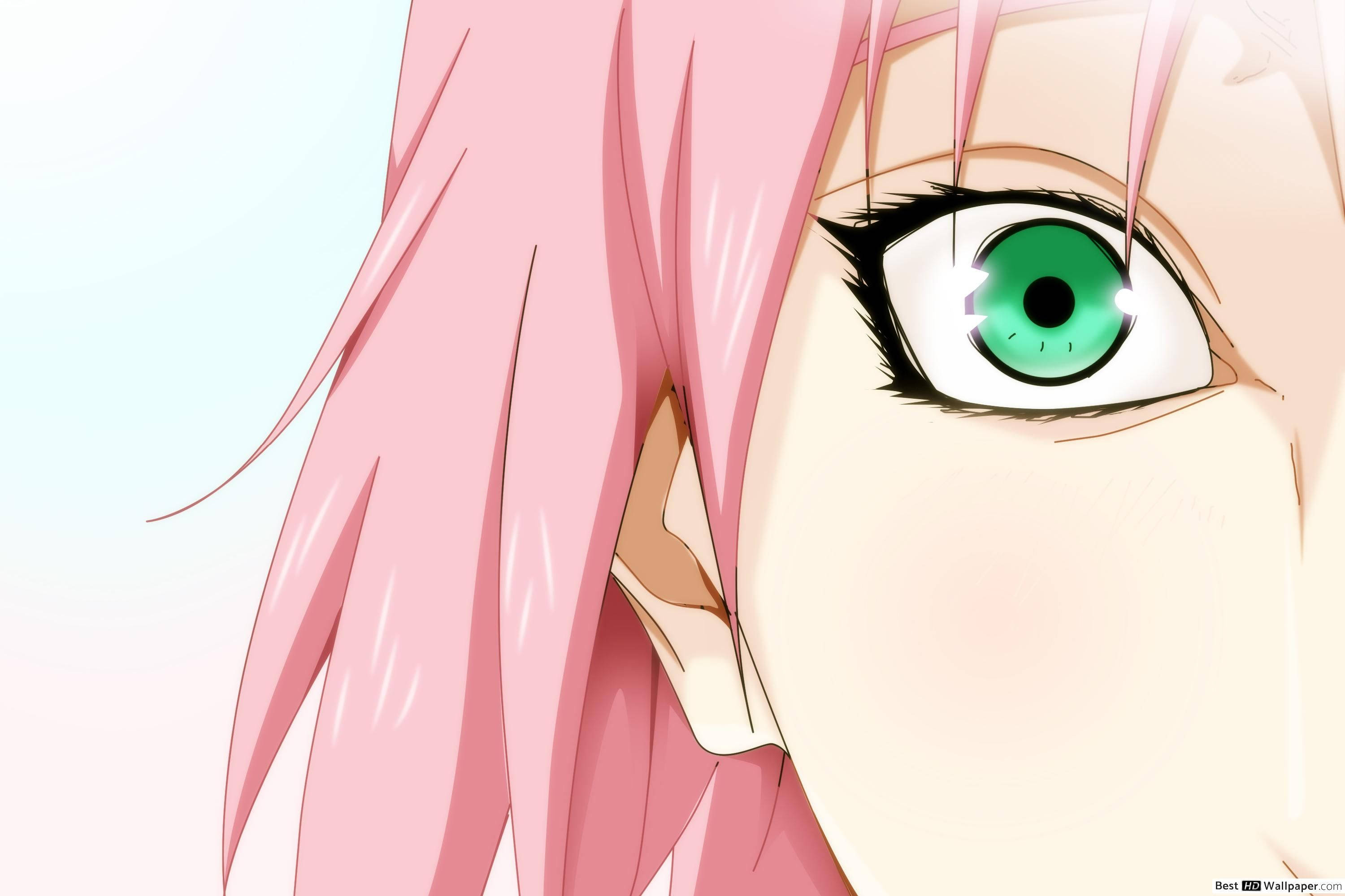 Naruto, Sakura, green eyes, 2K Desktop Wallpaper