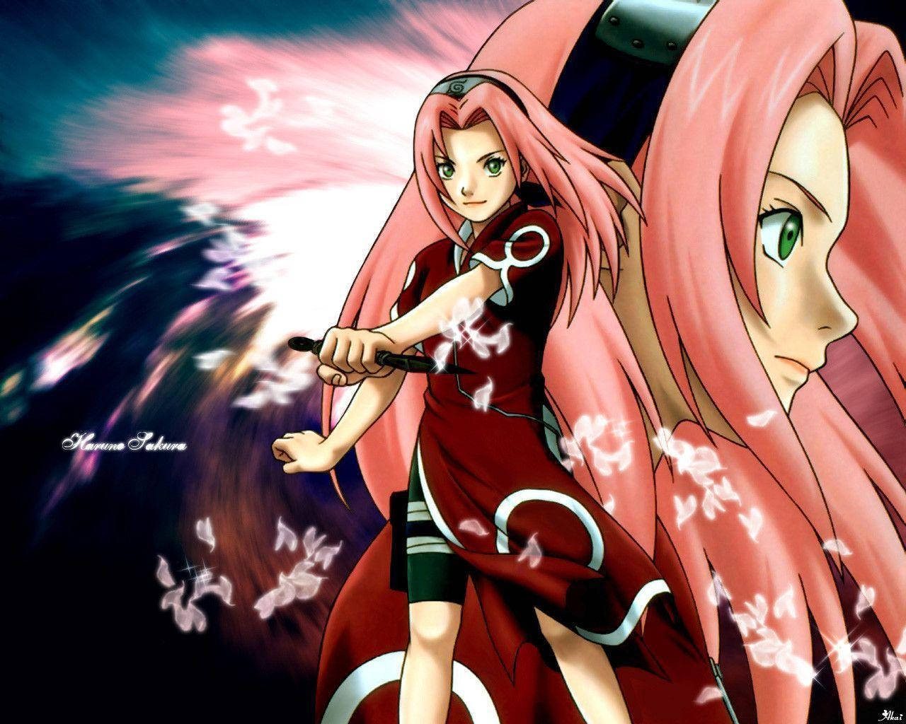 Naruto, Sakura, pink hair, HD Desktop Wallpaper