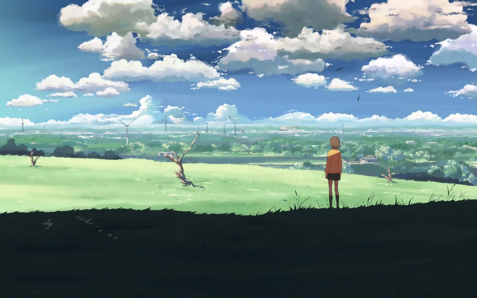 Naruto Scenery, orange jacket, grassy hill, HD Desktop Wallpaper