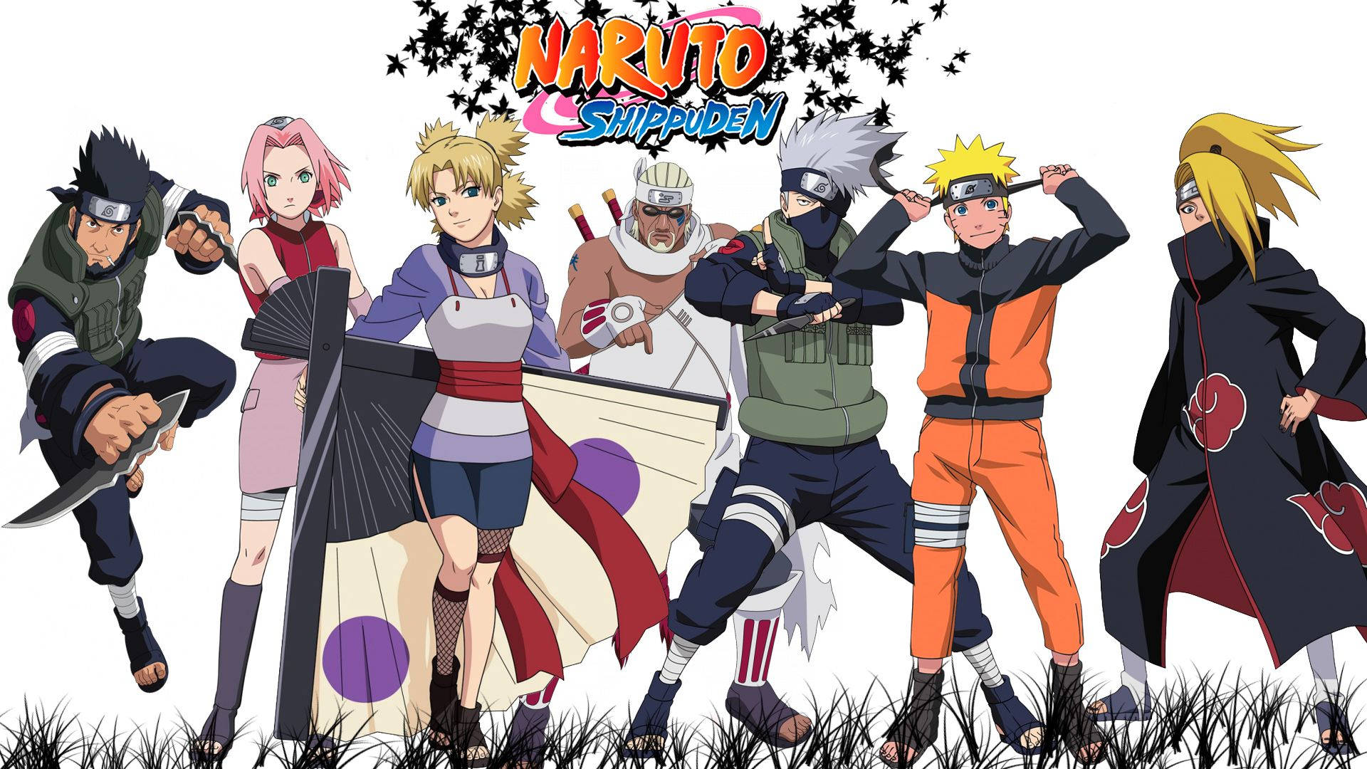 Naruto Shippuden, Seven anime characters, grass, Full HD Desktop Wallpaper