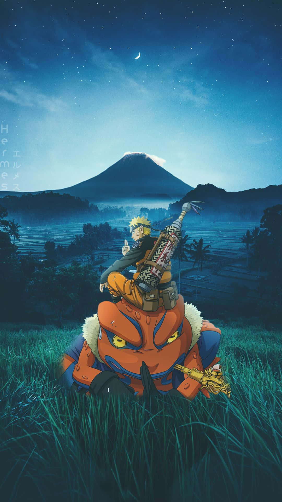 Naruto Shippuden, orange fox, starry night sky, Full HD Phone Wallpaper