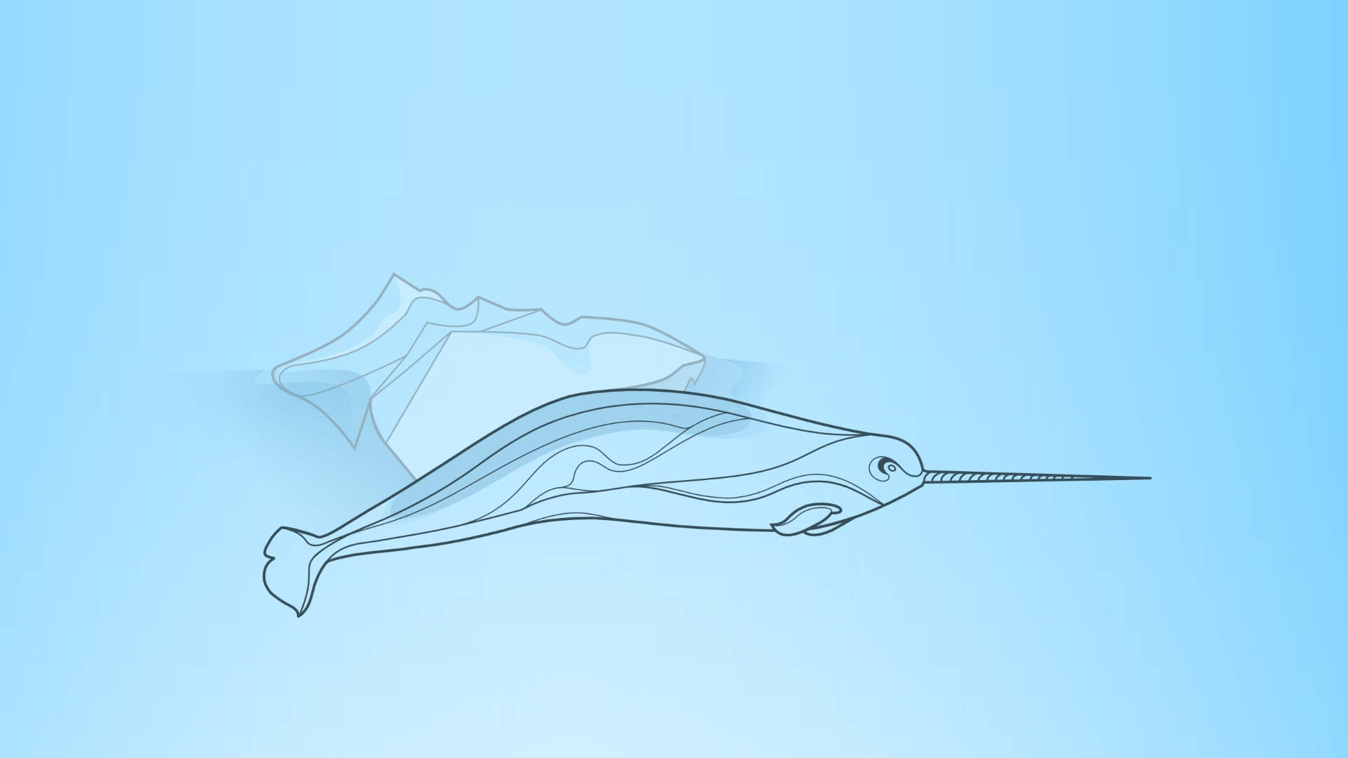 narwhal, translucent iceberg, soft blue gradient background, Full HD Desktop Wallpaper