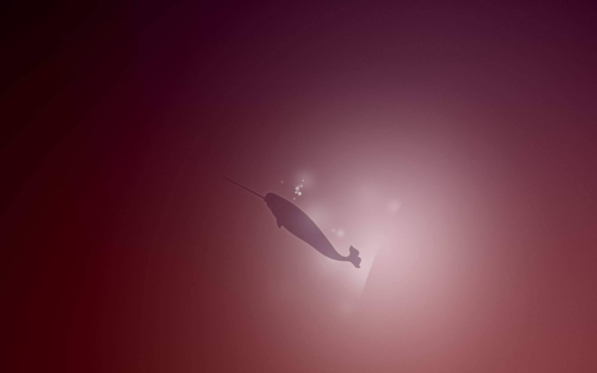 maroon narwhal silhouette, narwhal, misty red water, Full HD Desktop Wallpaper