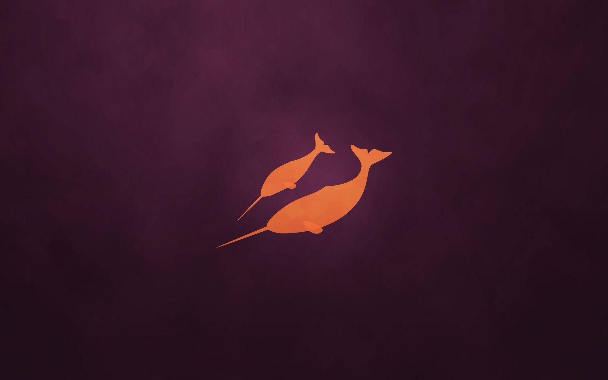 mommy and baby narwhal, orange narwhals, deep purple textured background, Full HD Desktop Wallpaper