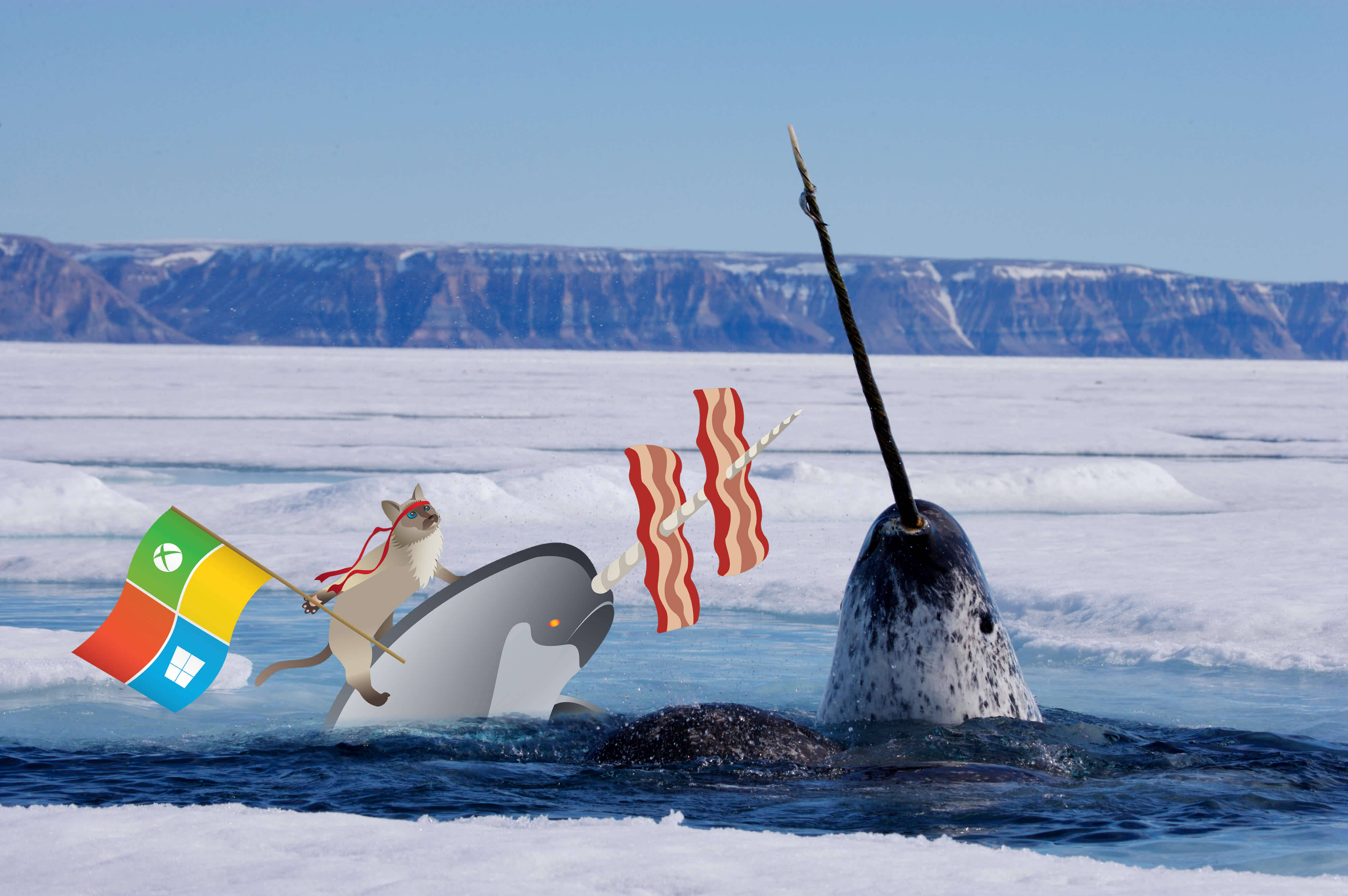 Narwhal, Windows flag, bacon strips, 4K Desktop Wallpaper