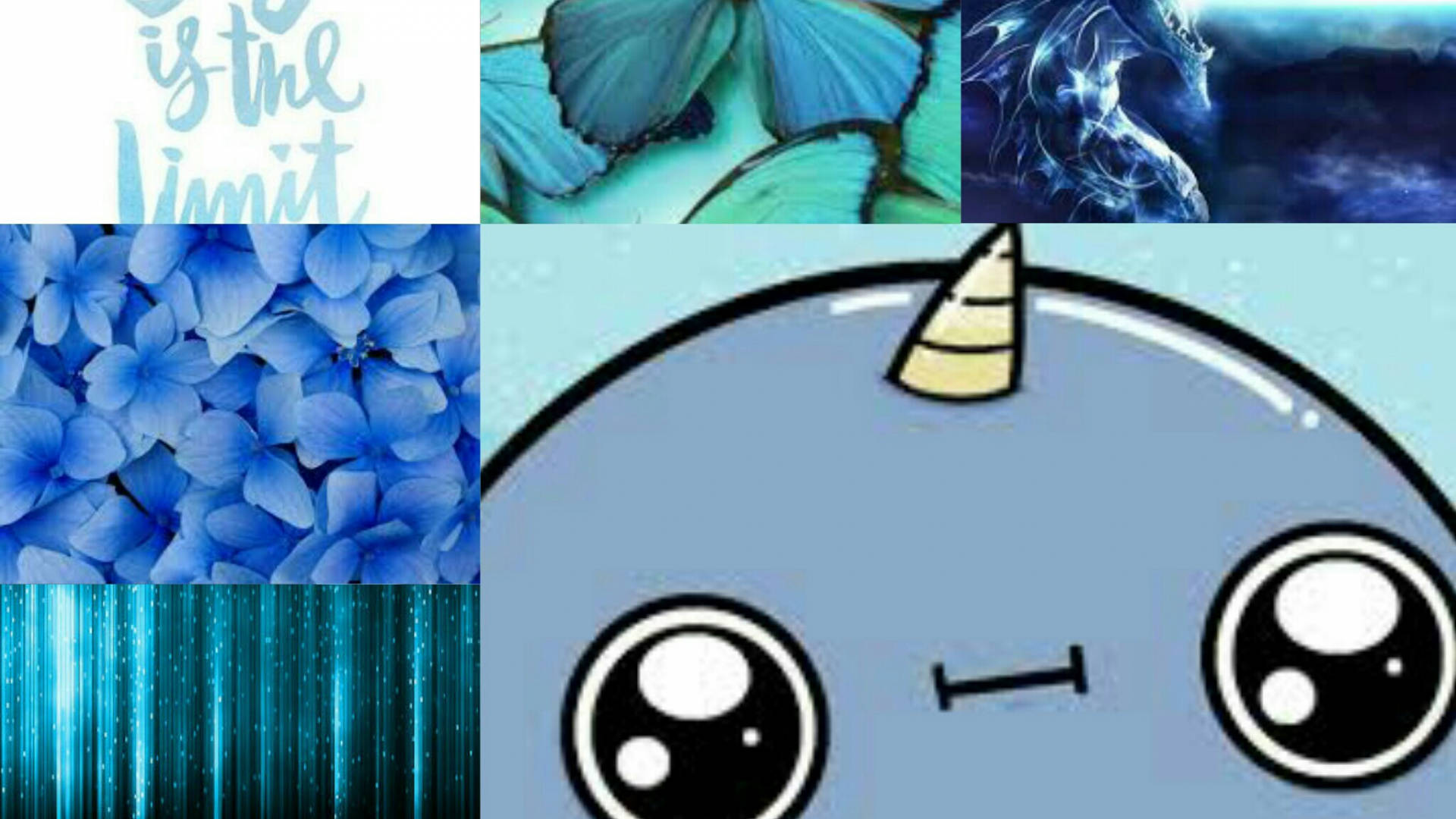 meme narwhal, blue theme, cartoon narwhal, Full HD Desktop Wallpaper