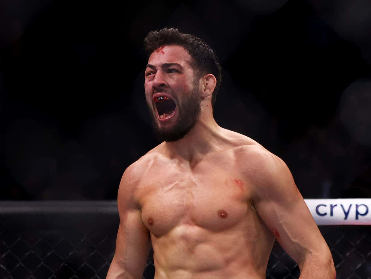 Nassourdine Imavov, dimly lit octagon, shirtless fighter, SD Desktop Wallpaper