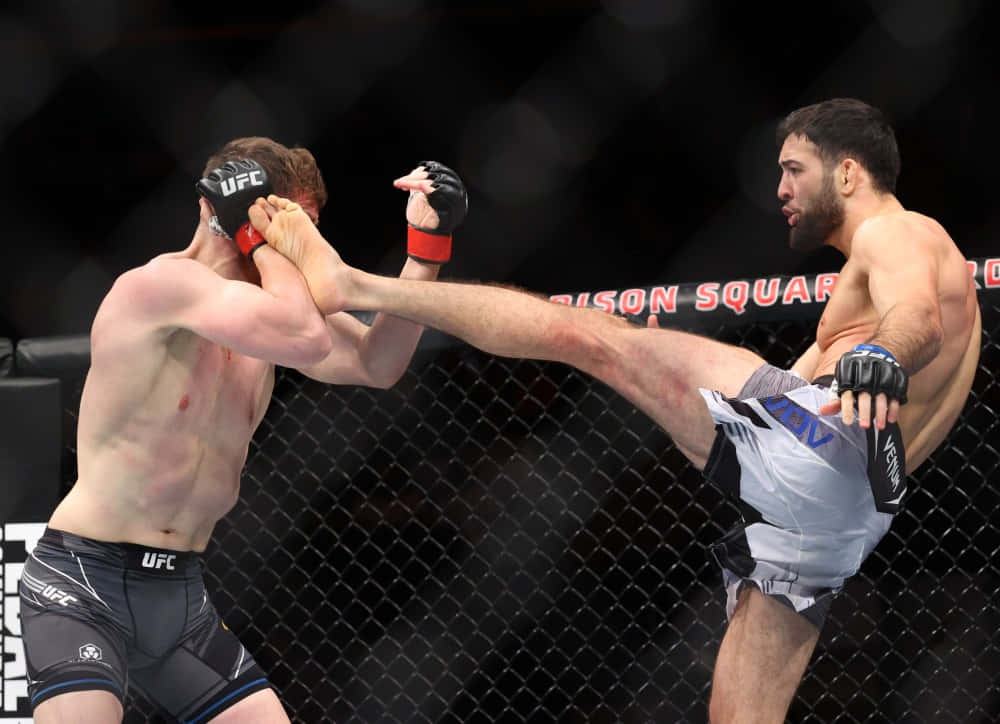 Nassourdine Imavov, MMA fighter, cage match, SD Desktop Wallpaper
