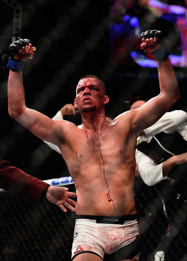 Nate Diaz, MMA fighter, cage, SD Phone Wallpaper