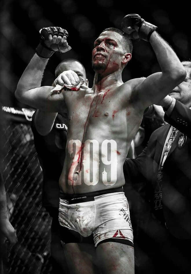 Nate Diaz, MMA fighter, octagon, SD Phone Wallpaper
