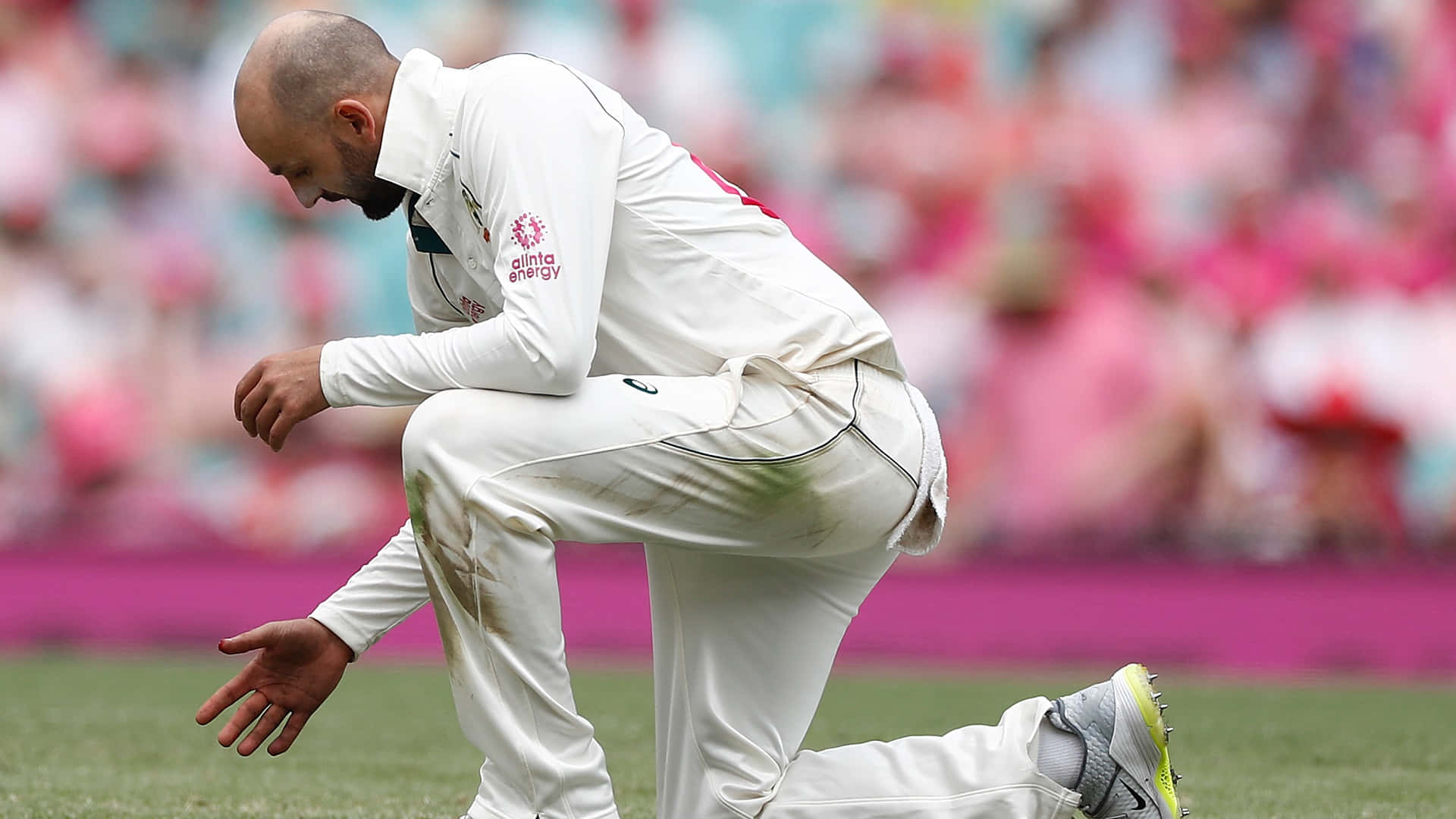 Nathan Lyon, cricket player, white uniform, Full HD Desktop Wallpaper