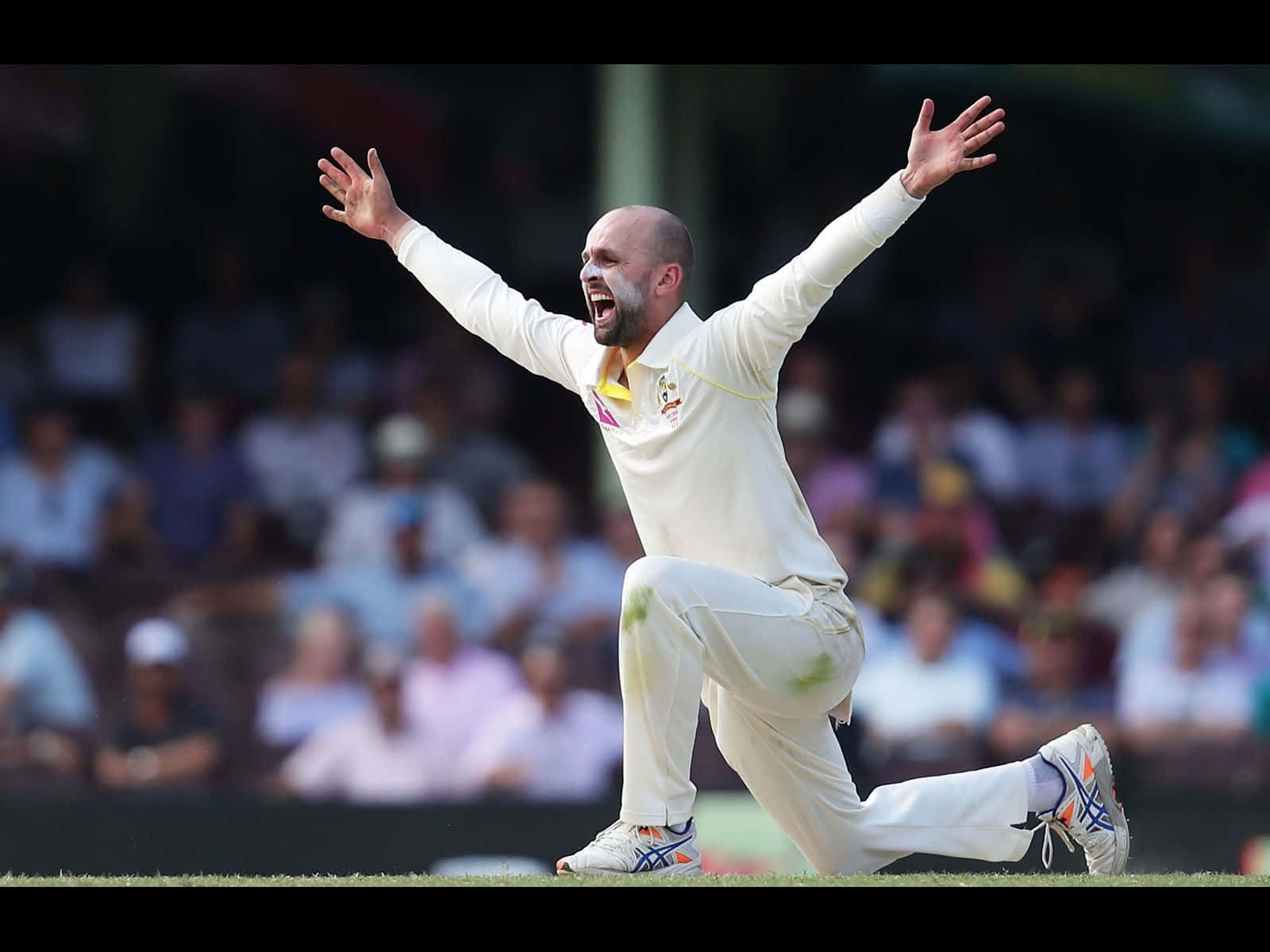 Nathan Lyon, cricket player, white uniform, HD Desktop Wallpaper