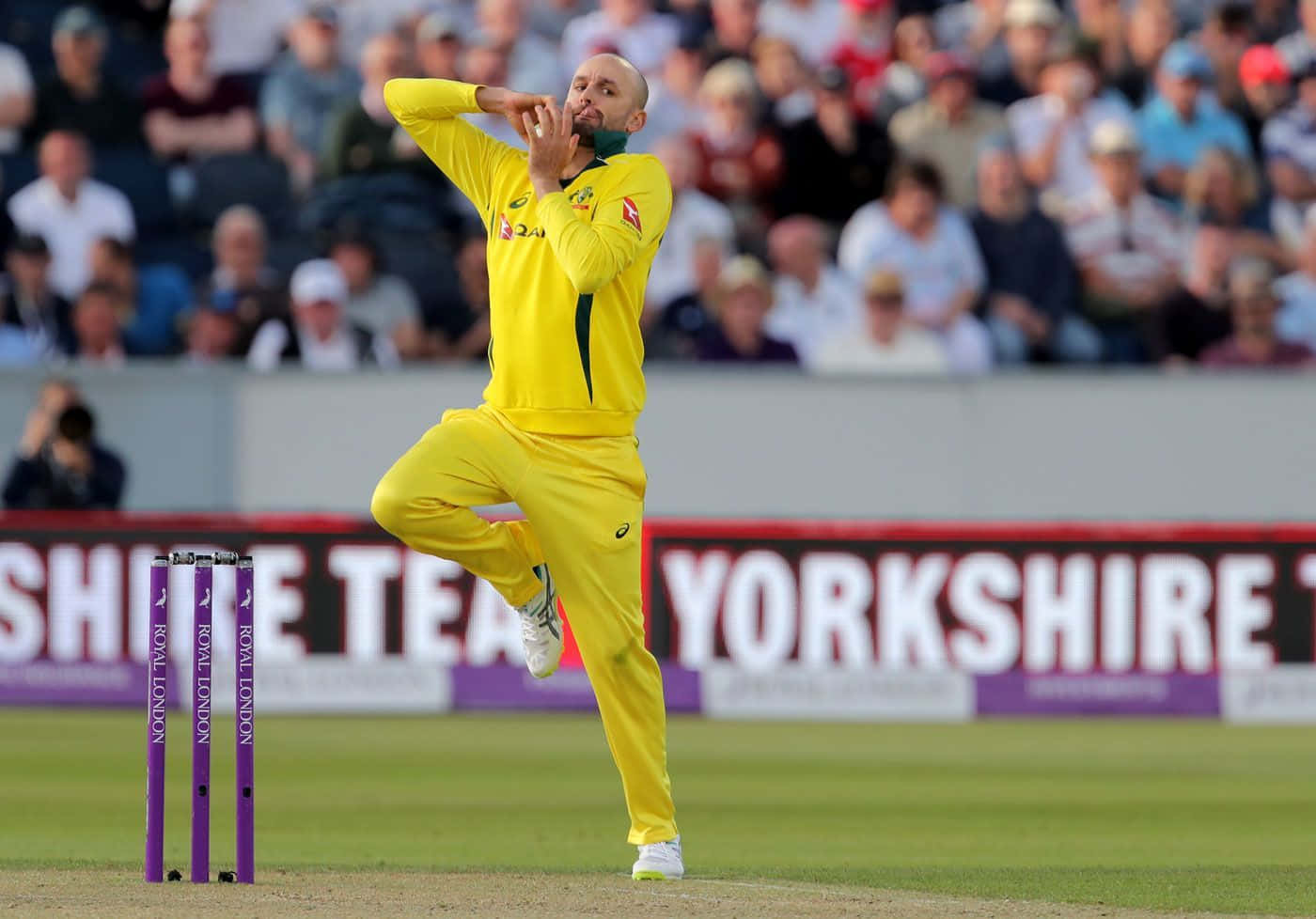 Nathan Lyon, cricket bowler, bright yellow uniform, HD Desktop Wallpaper