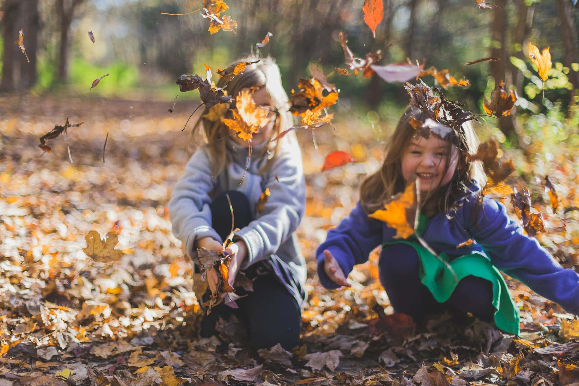children, autumn leaves, sunlit forest, Full HD Desktop Wallpaper